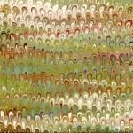 22 Coquillage anis