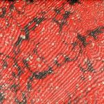 Caillouté Ombré Rouge