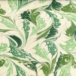 Chêne Vert
