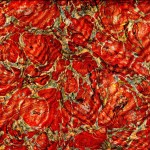 Ombré Rouille