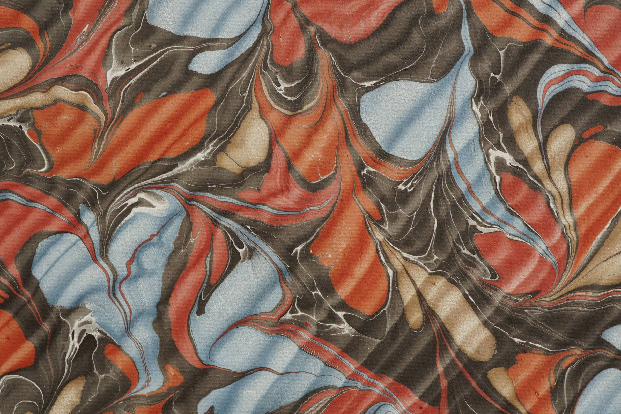 Feuillage ombré noir rouge bleu, détail