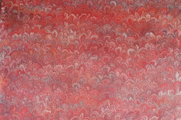 Queue de Paon large Coloris Rouge vif