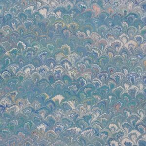 Queue de Paon Large Turquoise