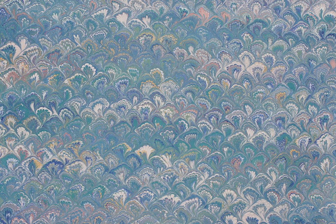 Queue de Paon Large Turquoise