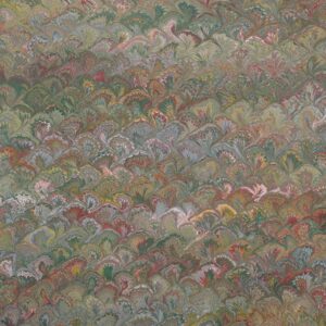 Queue Paon large Vert